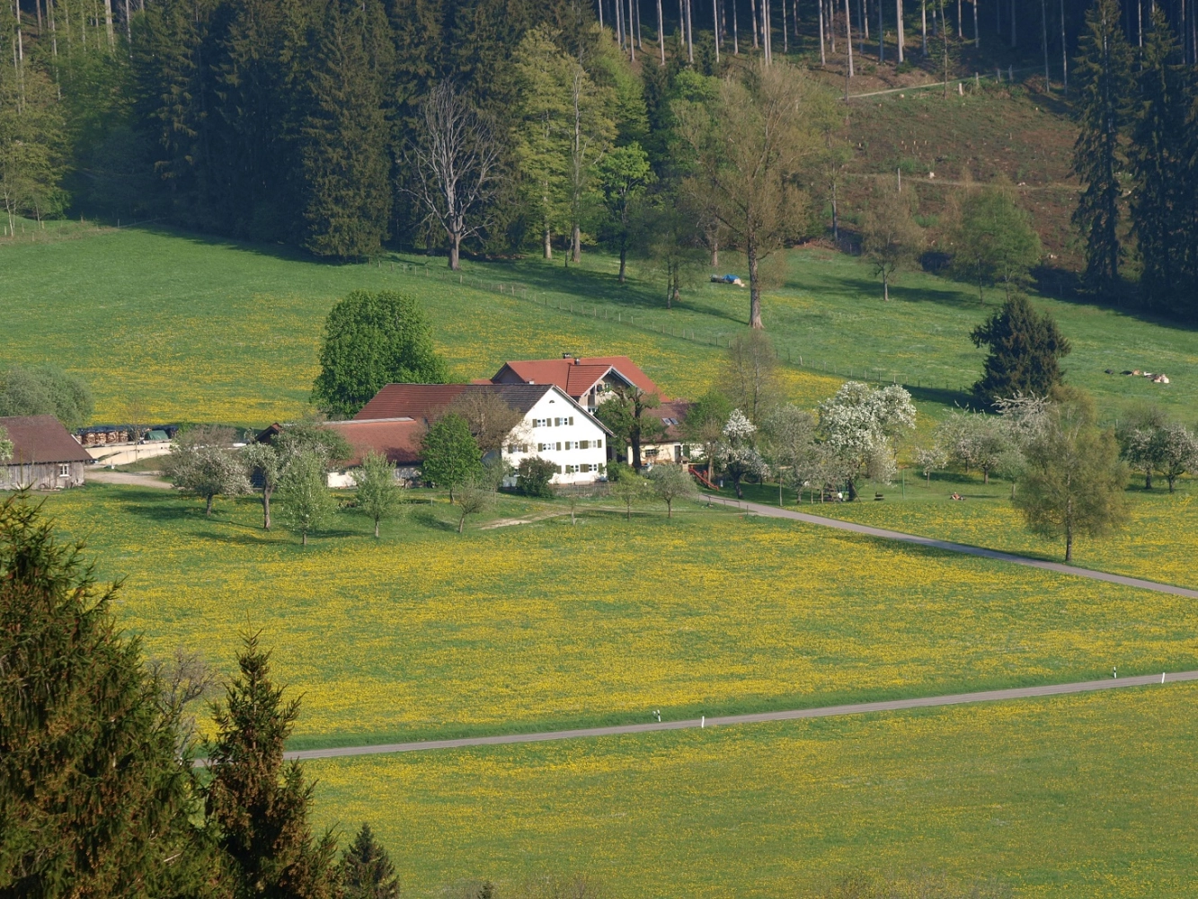 Ferienhaus mit Garten